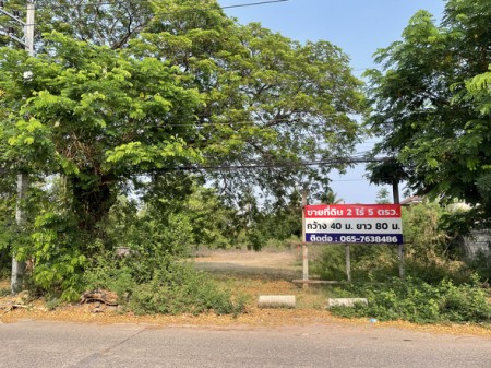 ที่ดิน ขาย ใจกลางเมืองอุดรธานี ทำเลทองอุดรธานี ที่ดินโฉนดครุฑแดง เหมาะพัฒนาโครงการอสังหา เหมาะเก็งกำไร