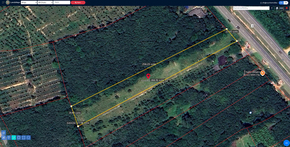 ขาย ที่ดิน พร้อมไฟฟ้าน้ำประปา ที่ดินป่าบอนถูกกว่าใกล้เคียง ที่ดินพัทลุงราคาถูก อสังหาพัทลุงราคาคุ้มสุด ติดถนนเพชรเกษม